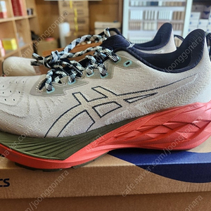 아식스 노바블라스트4 TR [265]