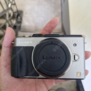 파나소닉 루믹스 GX1 카메라