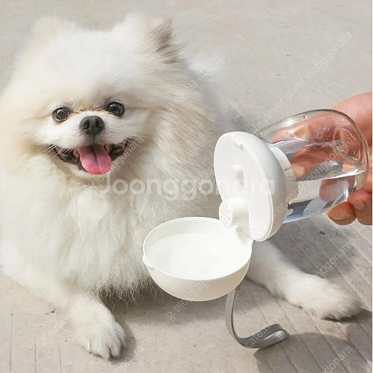 강아지 휴대용 산책 머쉬룸 물병 반려동물 물통--0