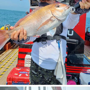 시마노 오콘리미티드 201PG 베이트 릴입니다