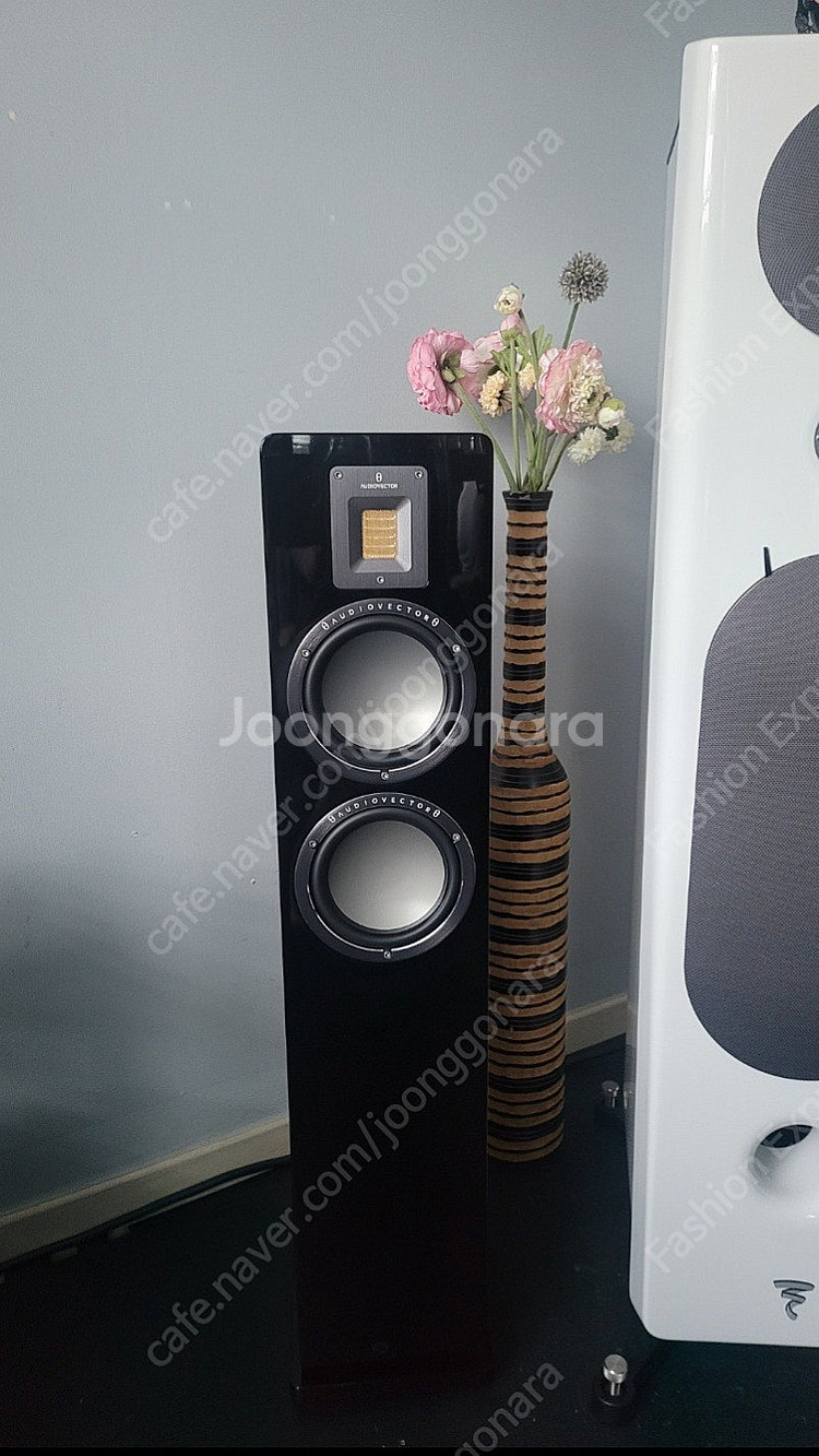 오디오벡터 QR3 / Audiovector QR3--0