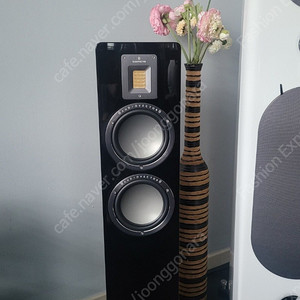 오디오벡터 QR3 / Audiovector QR3