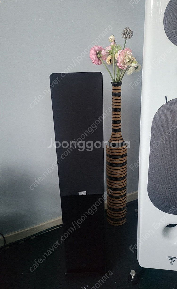 오디오벡터 QR3 / Audiovector QR3--1