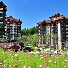 용평리조트~베르데힐49평~패키지
