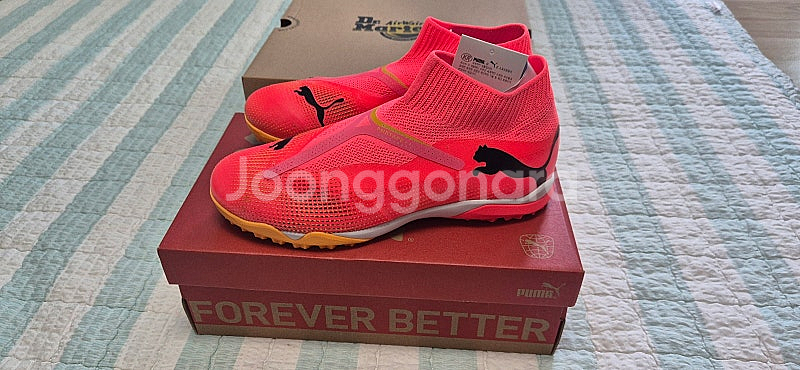 [푸마] 퓨쳐7 매치 레이스리스 풋살화 (새 상품 / 265 / 4만 5천원)--0