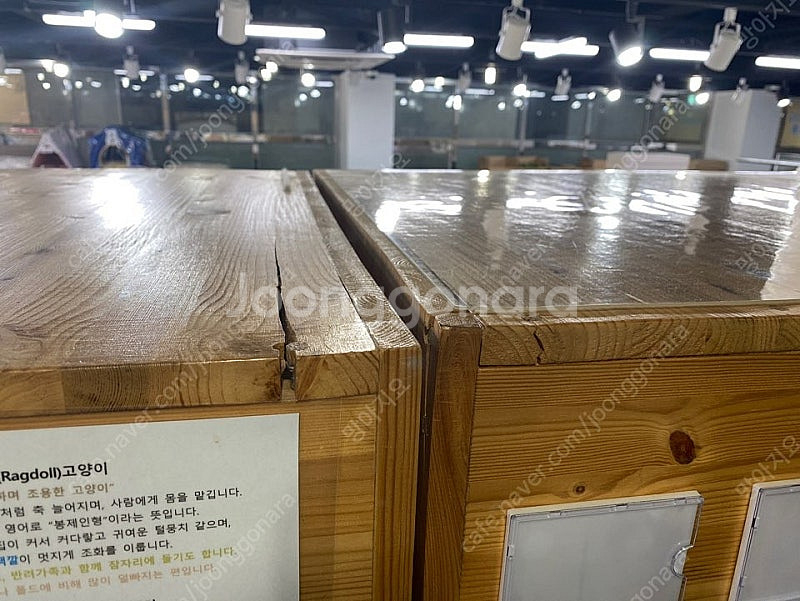 강아지 고양이 유리 호텔장 / 고양이 원목 대형 호텔장...--4