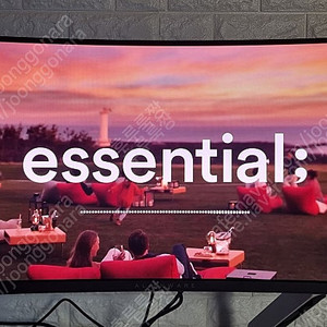 DELL AW3423DWF 34인치 OLED 모니터