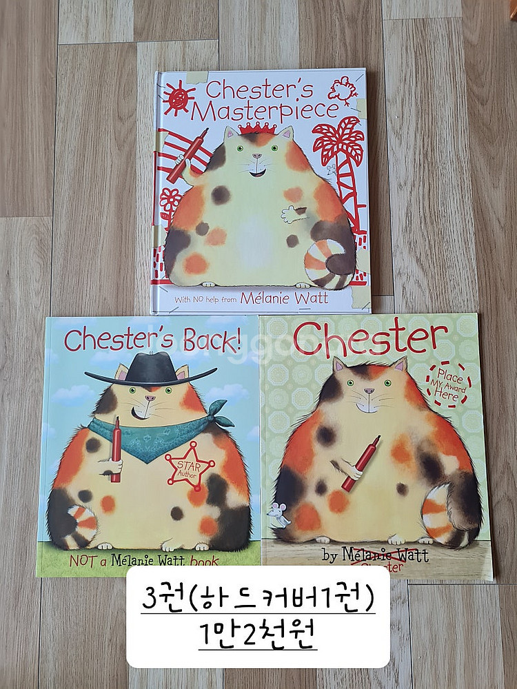 머시 왓슨, chester, ever aftet 등등--3