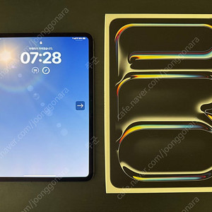 iPad Pro 11 M4 256GB 셀룰러 스페이스그레이 애플케어플러스
