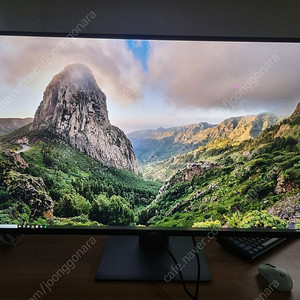 DELL 43인치 4K 모니터 U4320Q 팝니다