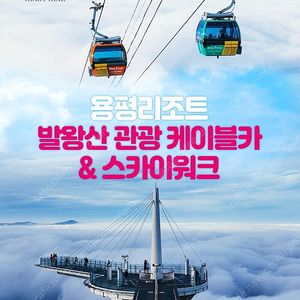 용평리조트~하반조식뷔페권/샬레조식뷔페권~케이블카왕복권~공룡랜드입장권~루지~마운틴코스터~애니포레
