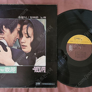 LP 속 별들의고향