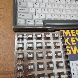 윤지 Yunzii al80에서 적출한 키캡&스위치(코코아크림 V2)