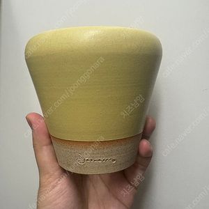 제네스포터리 옐로우 토분