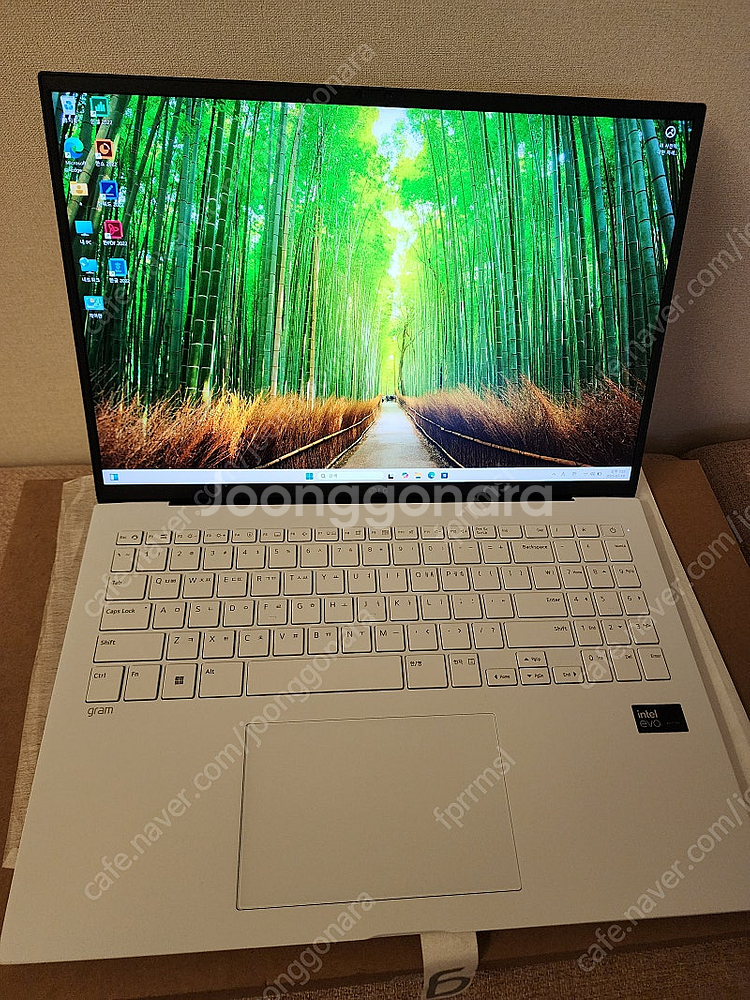 2024 LG그램 16(울트라5/램 16/SSD 512...--0