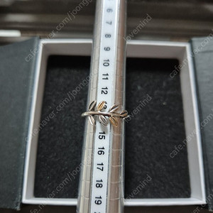 판도라 콤비월계수 단종반지 54 52호