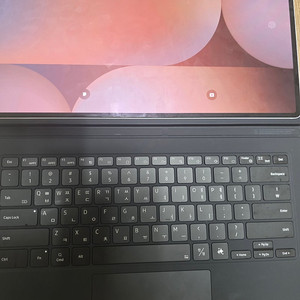 갤럭시탭S10 울트라 WiFi 1TB 플래티넘 실버