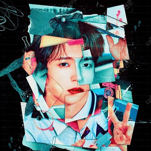 남우현 콘서트 티켓 양도 트리하이스쿨 나무고 인피니트