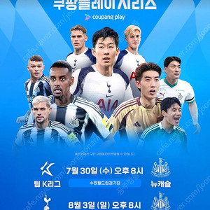 토트넘 vs 뉴캐슬 프리미엄B 2연석 정가 양도
