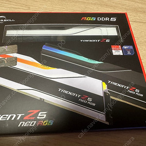 G.SKILL 지스킬 DDR5-6000 CL26 TRIDENT Z5 NEO RGB H 화이트 (32GB(16GBx2))