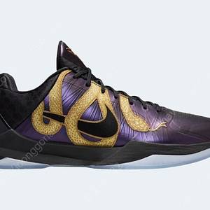 나이키 코비 5 프로트로 이어 오브 더 맘바 에그플랜트