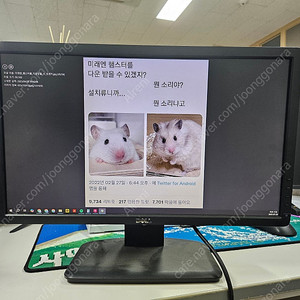 사무용 및 CCTV용 모니터