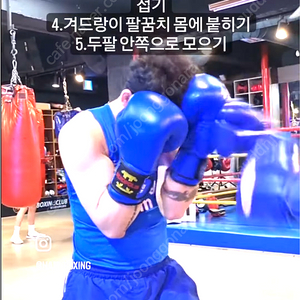 복싱글러브