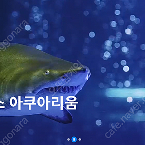 코엑스 아쿠아리움 (서울 씨라이프) 모바일 티켓 판매합니다! 후불 가능! 당일사용 가능 8월 31일 까지! 서울 데이트 !
