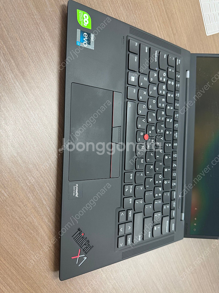 Thinkpad X1 카본 10세대--8