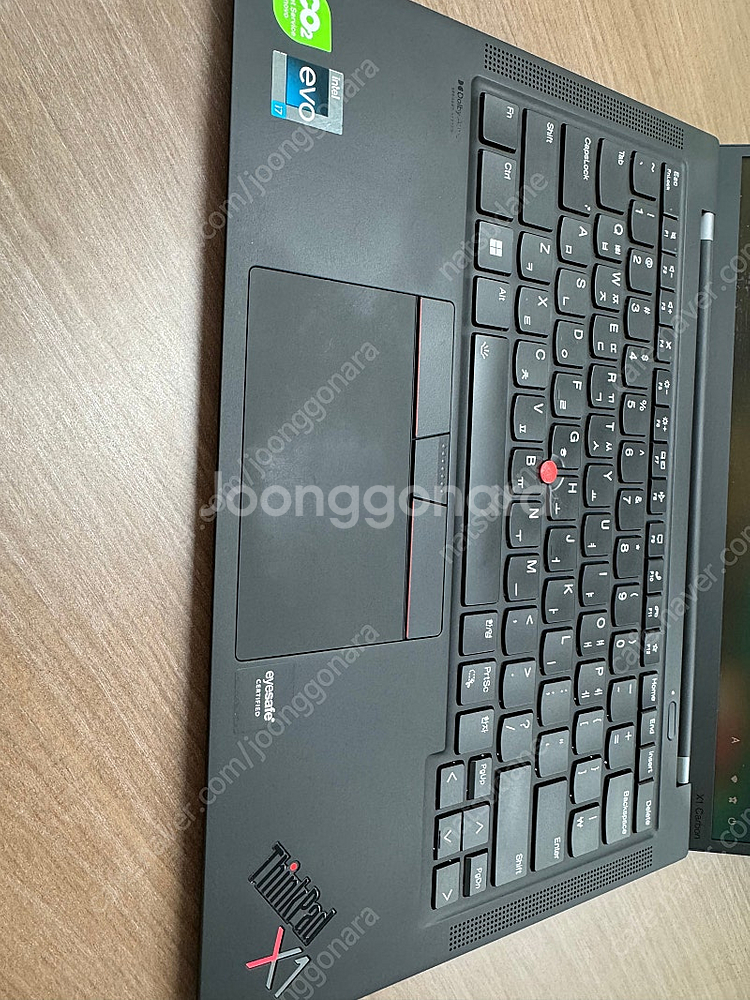 Thinkpad X1 카본 10세대--9