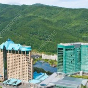 하이원 리조트 확보 객실 특가