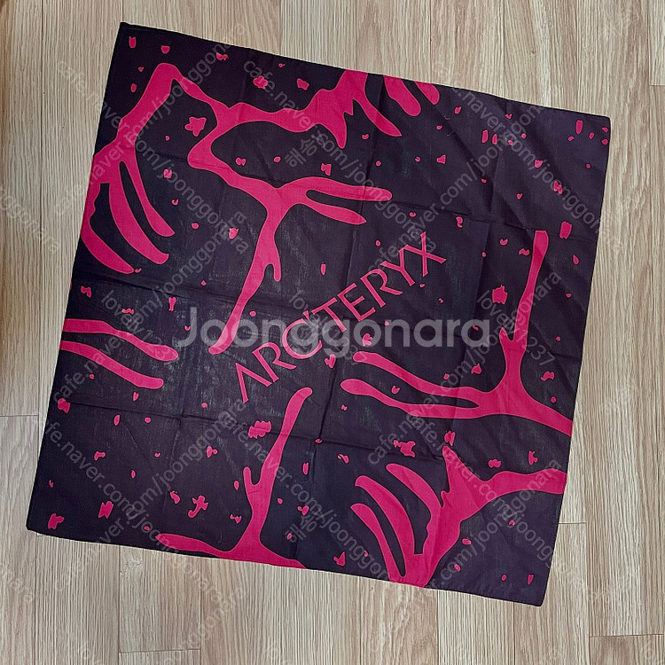 Arc'teryx Handkerchief And Sca...--6