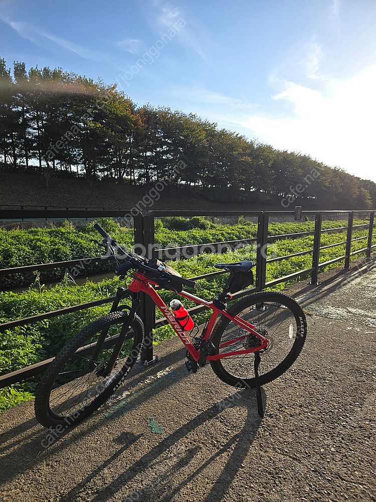 메리다 24 빅나인 500 M사이즈 산악자전거 MTB--2