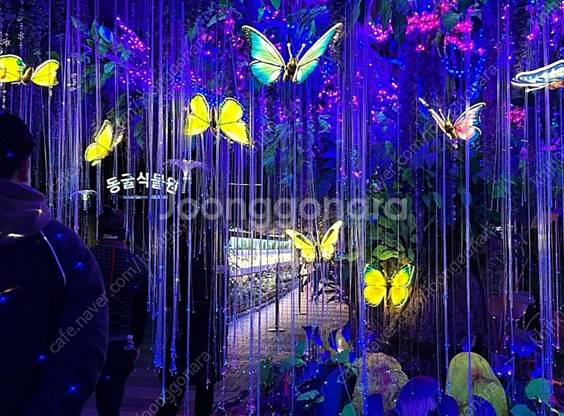 수도권 최대 광명동굴 테마파크 입장료 50% 할인권--0