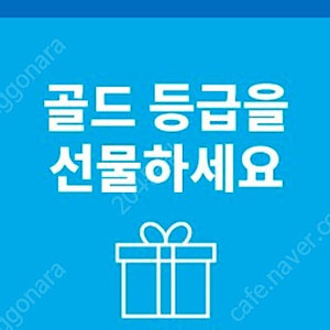 힐튼 골드 티어