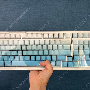 독거미 aura f99 경해축 + pbt 그라데이션 측각키캡 세트