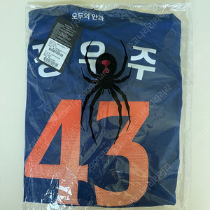 한화이글스 썸니폼 105 정우주 마킹