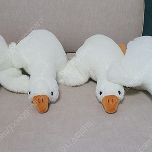 오리인형 개당 3000원