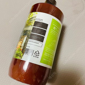 포레스타 크레이지샴푸