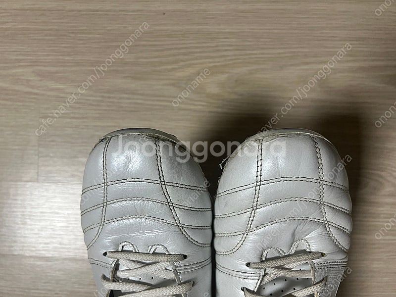 [280mm] 아식스 ds light pro ag--4