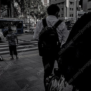 [삽니다] 파나소닉 루믹스 녹티크론 42.5 렌즈 구합니다