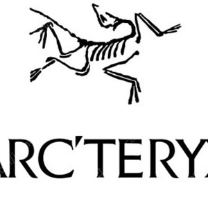 아크테릭스 최고급 베낭