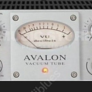 Avalon VT-737sp Tube Channel Strip 아발론 737 채널스트립