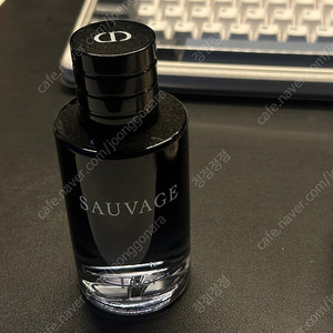 디올 소바쥬 오드뚜왈렛 100ml
