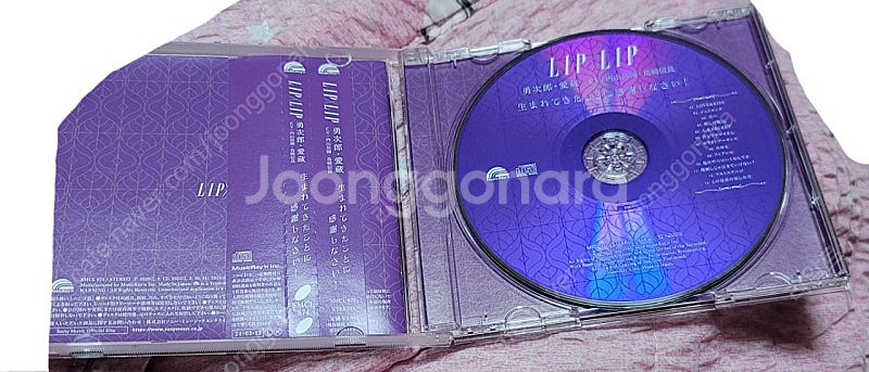 허니웍스 honeyworks lipxlip cd--1