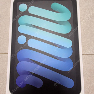 아이패드 미니6 셀룰러 256GB 스페이스그레이