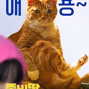 고고다이노 주니토니 다이노맨 도라에몽 판타스틱4 좀비딸