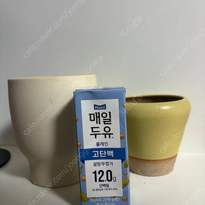 스프라우트, 제네스포터리 토분 판매
