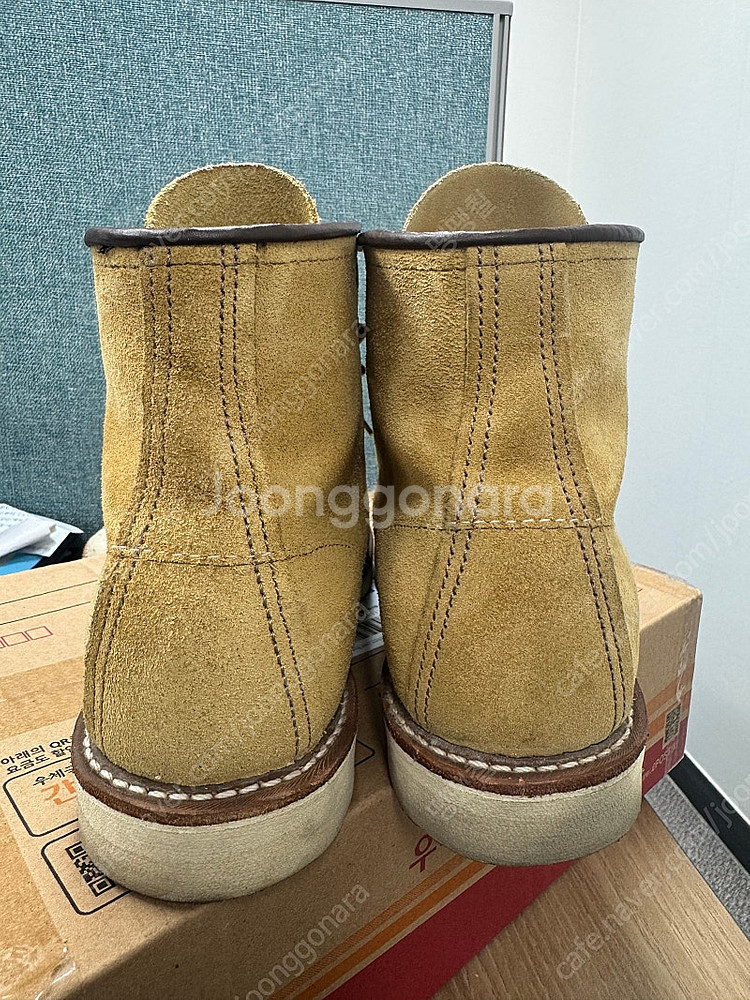 레드윙 목토 8833 / 8.5d 265cm--2