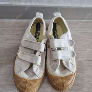 노베스타 30
